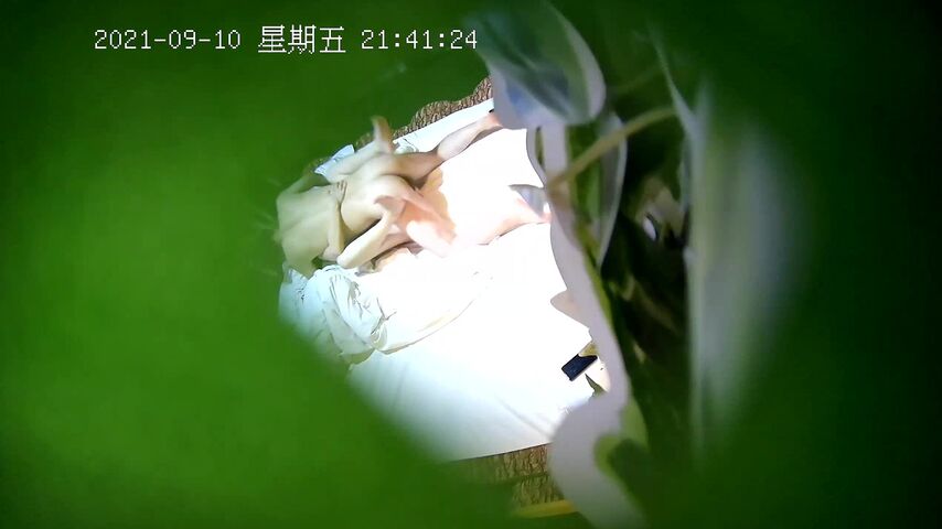 最新流出情趣酒店绿叶房摄像头偷拍大屌男和单位少妇女炮友开房激情